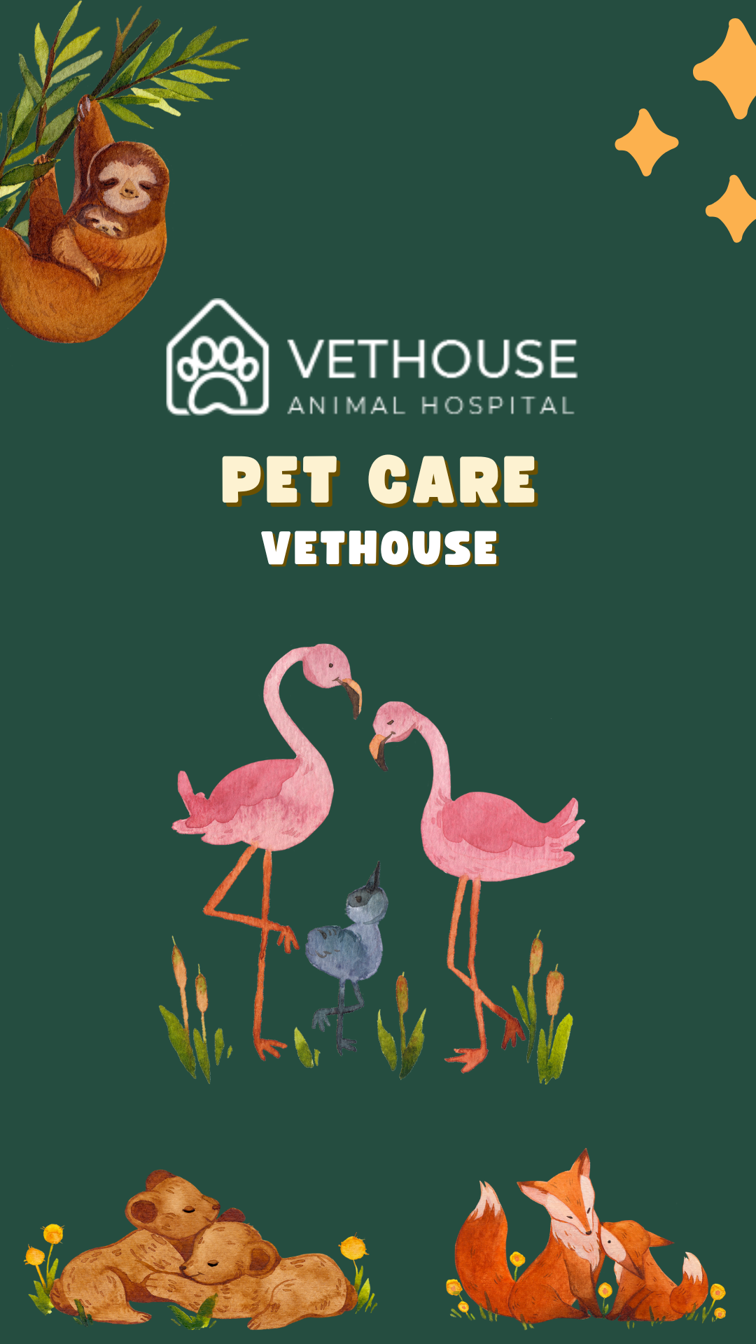 Vethouse - Pet Care & Pet Clinic & Hospital Script Theme